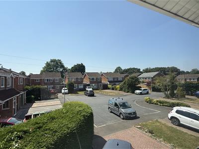 Picture 21
